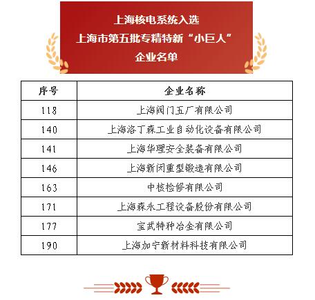 上海閥門五廠 以突破性閥門基礎(chǔ)軟件躋身“小巨人”，砥礪前行無畏創(chuàng)新華章
